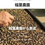 埼玉の稲葉農園で昆虫採集と農業体験を！企業の新規参入を支援する有機農業の専門性