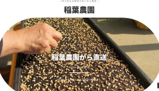 埼玉の稲葉農園で昆虫採集と農業体験を！企業の新規参入を支援する有機農業の専門性